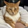 orangeoliver34
